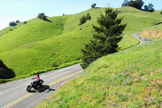 spring riding